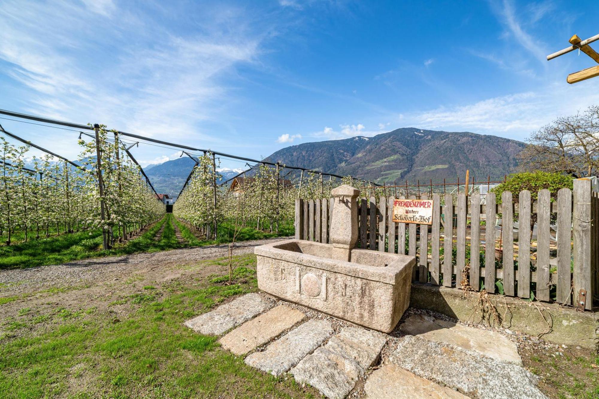Villa Rosa Unterschoeberlehof - Lene Μεράνο Εξωτερικό φωτογραφία
